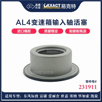 活塞/输入轴小(上盖)