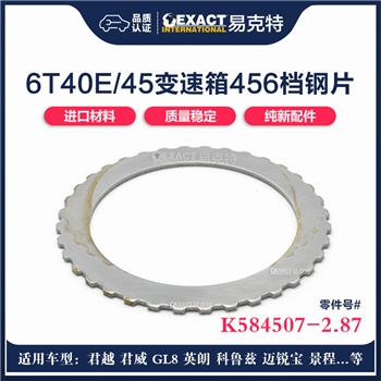 钢片/456档/36T/96/2.87