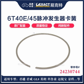 卡簧/脉冲发生器