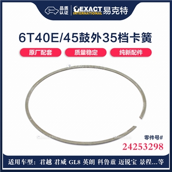卡簧/输入股外钢片