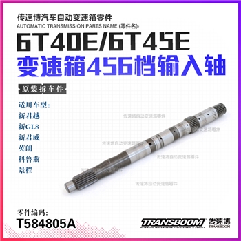 输入轴/262mm